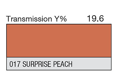 LEE 017 Surprise Peach Full Sheet (1.22 x 0.53m)